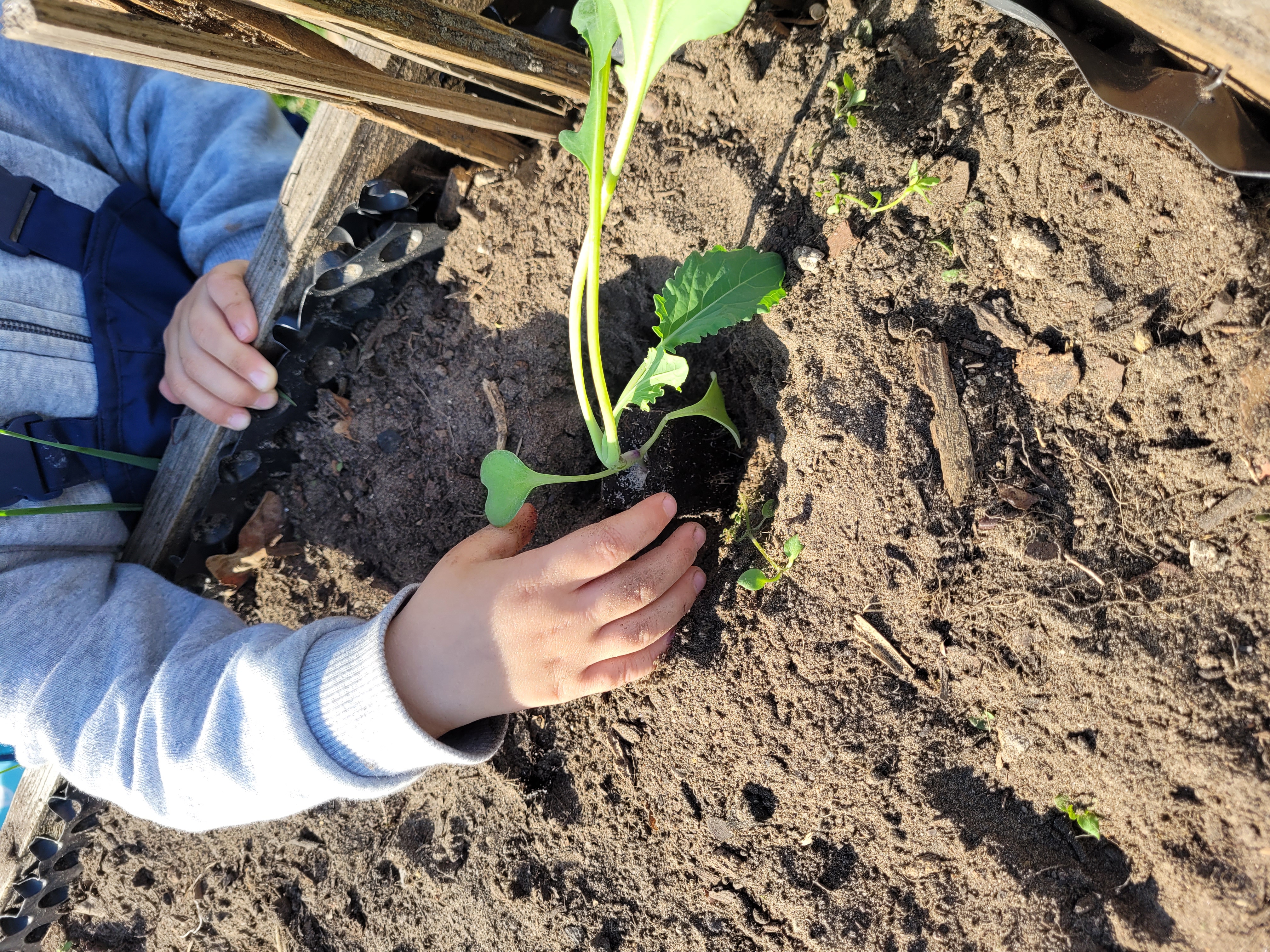 Kinder beim Spielen im Garten