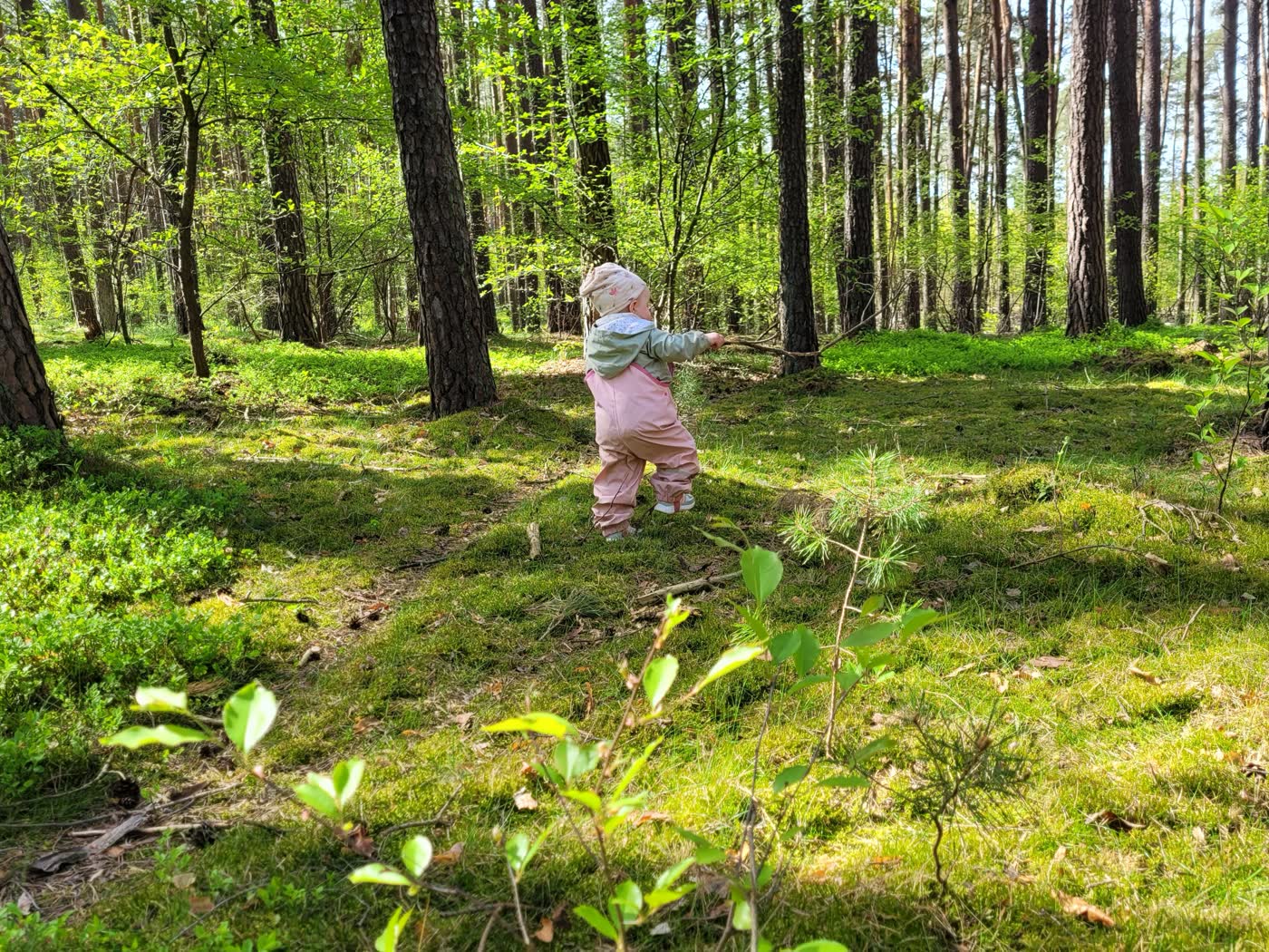 Kind mit roter Mütze läuft über eine moosbewachsene Waldlichtung