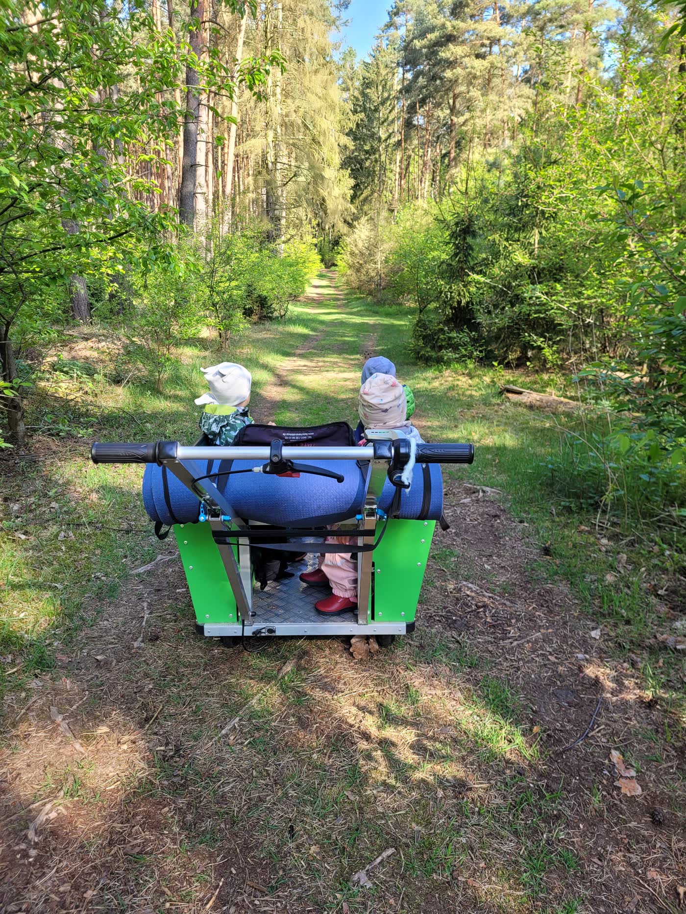 Kinder sitzen im Bollerwagen und blicken einen Waldweg entlang