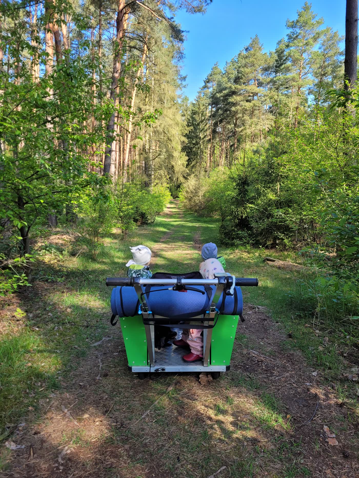 Kinder sitzen im Bollerwagen auf einer Waldlichtung