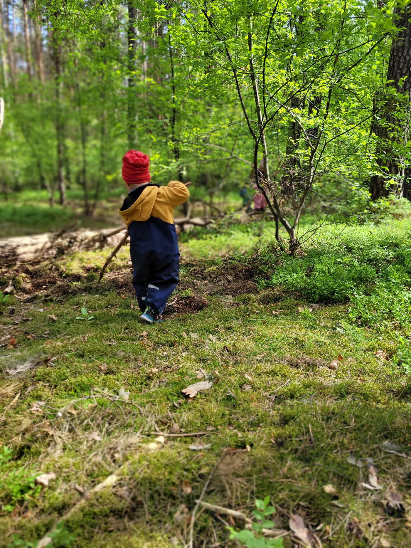 Kind mit roter Mütze hält einen Stock und erkundet den Waldboden