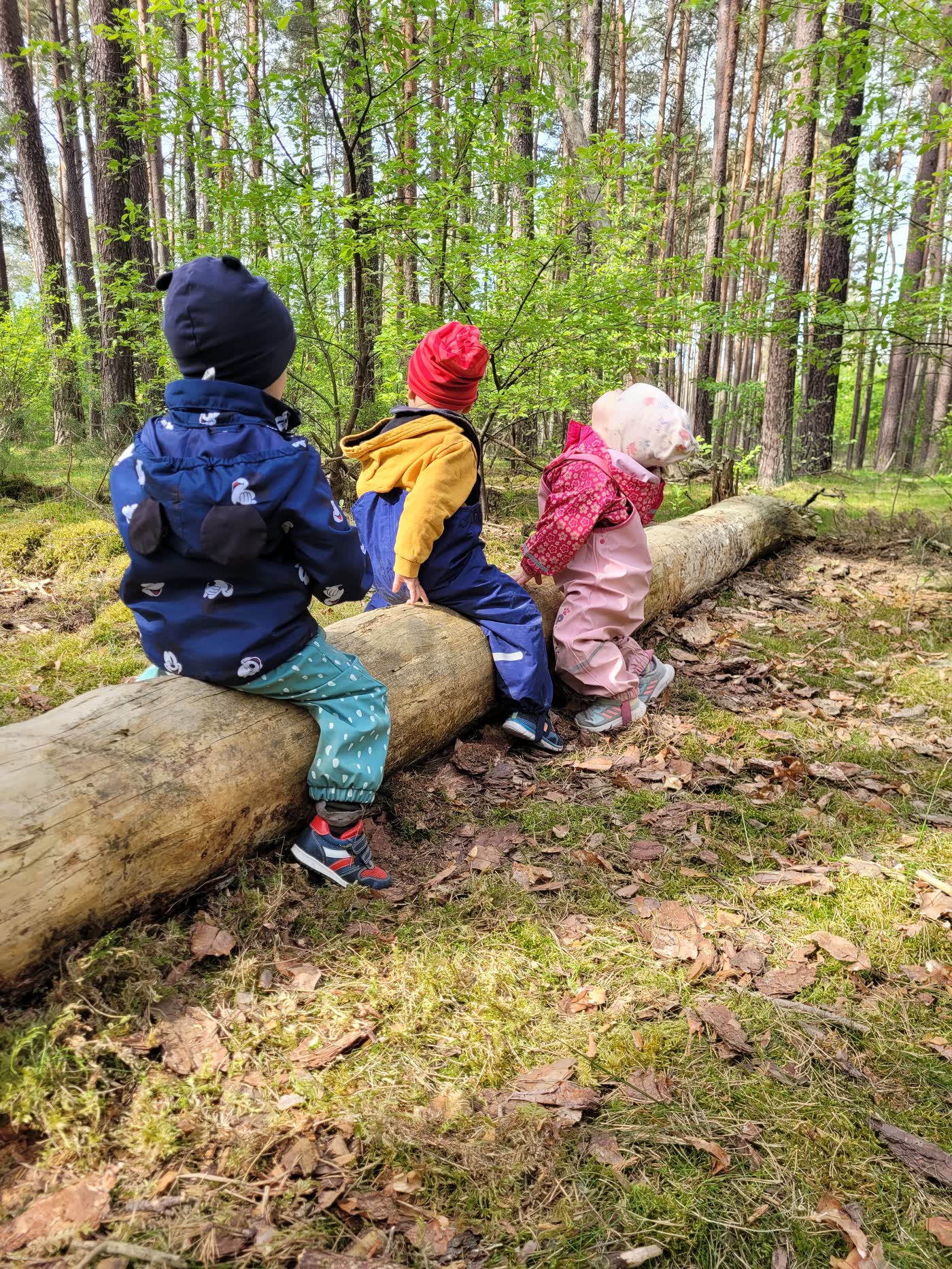 Drei Kinder sitzen nebeneinander auf einem Baumstamm im Wald